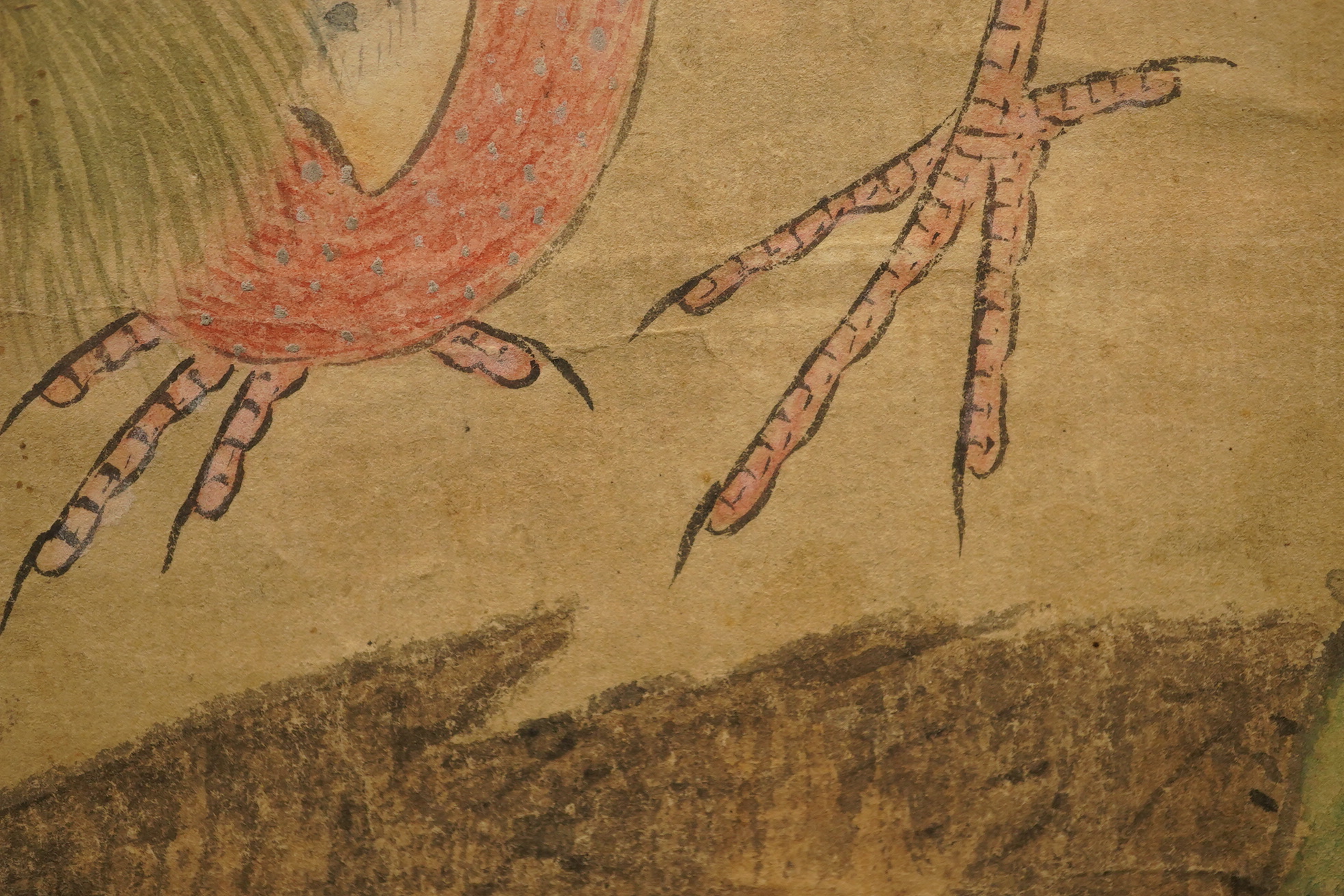 Chinese School , (18th/19th century), Phoenixes amid flowers, Ink and colour on paper; a pair